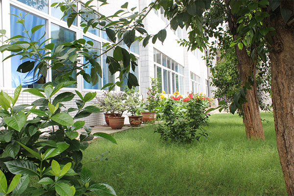 攀枝花職業(yè)中學(xué) 攀枝花職業(yè)中學(xué)