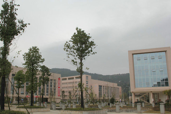 巴中職業(yè)技術(shù)學院