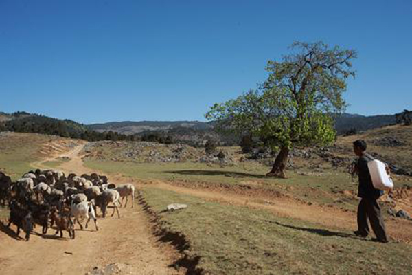 涼山洲的職業(yè)技術(shù)學(xué)校