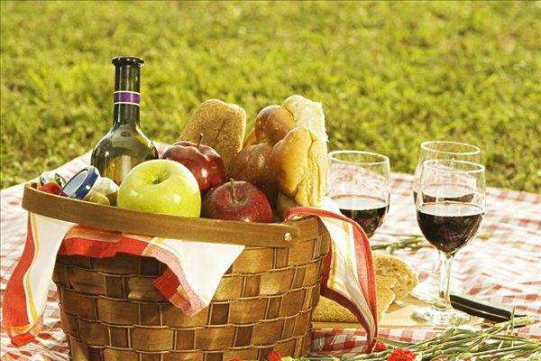 醫(yī)學(xué)營養(yǎng)專業(yè)