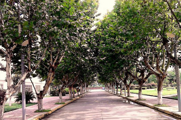 成都職業(yè)學(xué)校排名