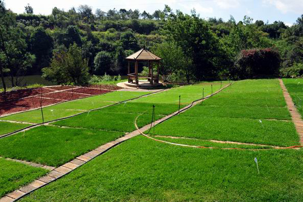 職業(yè)學(xué)校排名