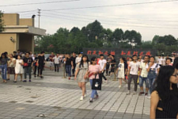 技術(shù)學(xué)院有哪些