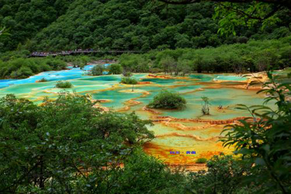 職業(yè)中學(xué)排名