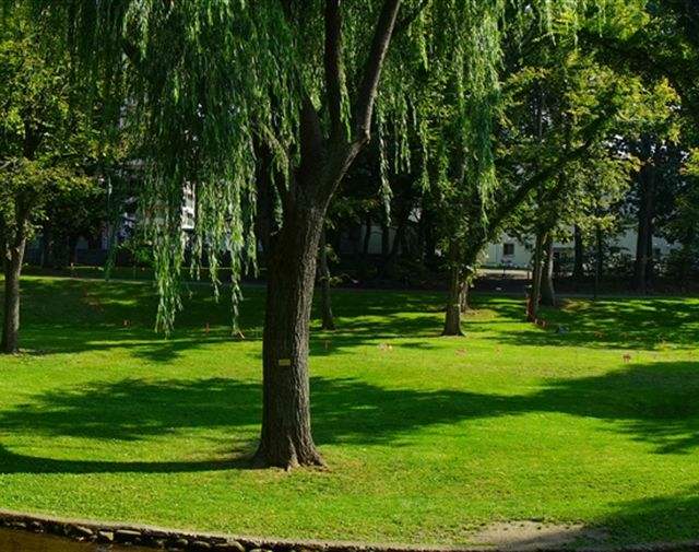 高鐵專(zhuān)業(yè)