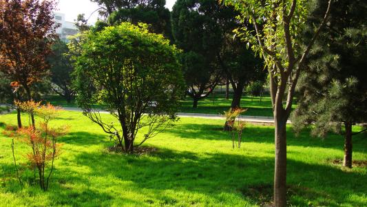 　四川城市技師學(xué)院