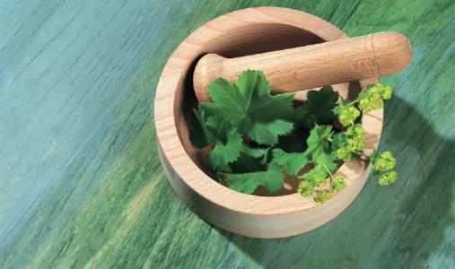 中醫(yī)藥專(zhuān)業(yè)