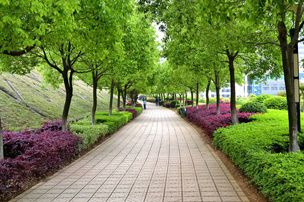 樂山職高學(xué)院排名