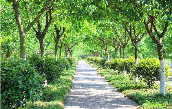 川大科技園職業(yè)技能學(xué)院是公辦嗎 川大科技園職業(yè)技能學(xué)院是公辦嗎