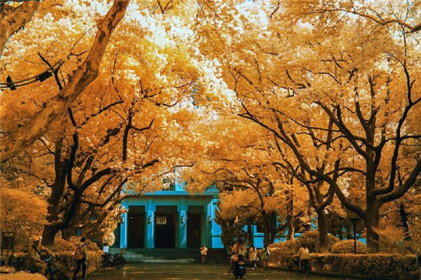 讀職高學(xué)校好嗎