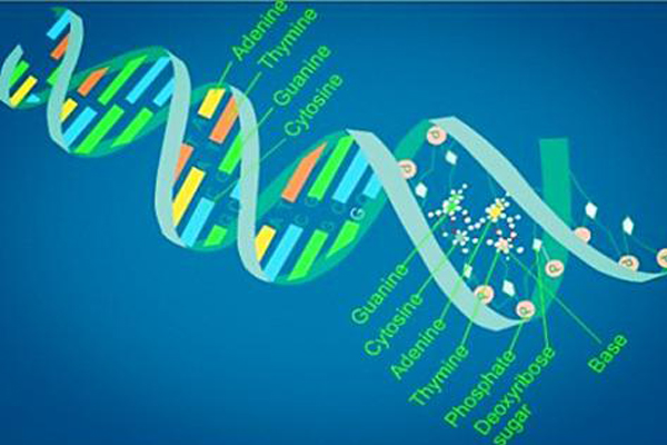 女生學(xué)什么好