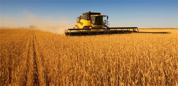 貴州農(nóng)業(yè)職業(yè)學(xué)院 貴州農(nóng)業(yè)職業(yè)學(xué)院