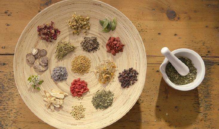 中醫(yī)藥專(zhuān)業(yè)