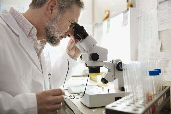 醫(yī)學(xué)營養(yǎng)專業(yè)