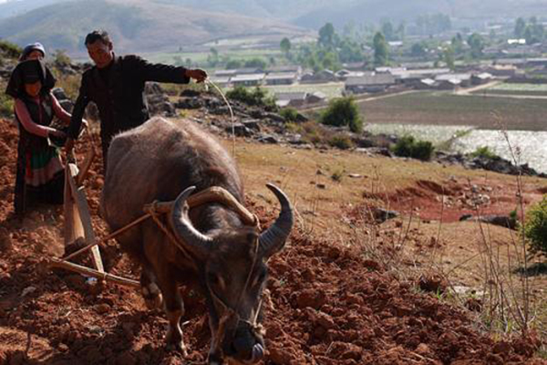 職業(yè)技術(shù)學(xué)校