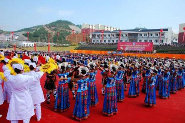 職業(yè)技術(shù)