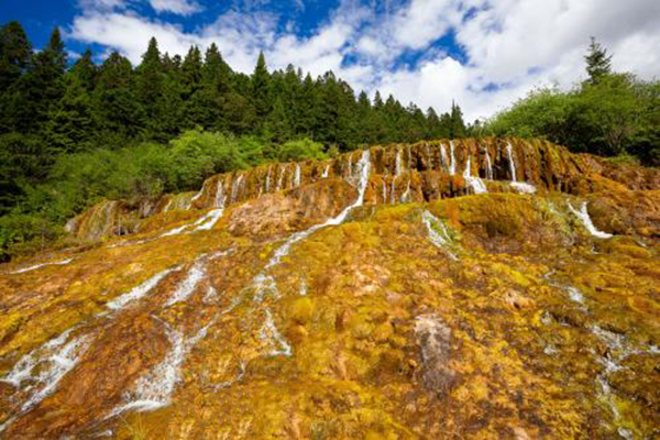 你還是有必要了解