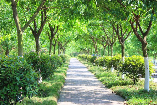 內(nèi)江職業(yè)學(xué)校怎么樣