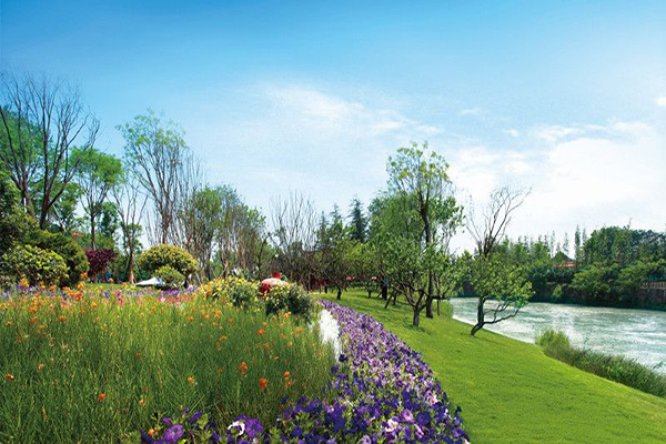 成都的職業(yè)技術(shù)學(xué)校