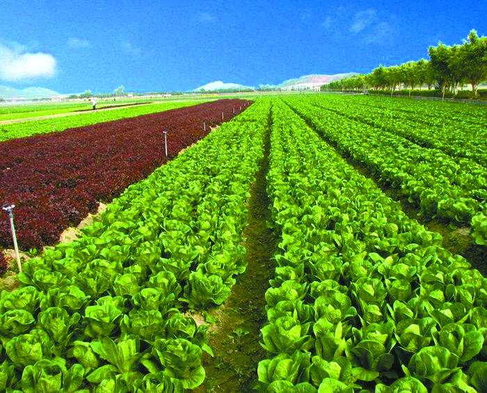 貴州農(nóng)業(yè)職業(yè)學(xué)院 貴州農(nóng)業(yè)職業(yè)學(xué)院