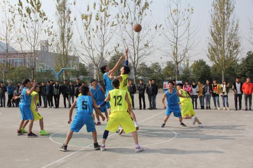 職業(yè)高級(jí)學(xué)校 職業(yè)高級(jí)學(xué)校