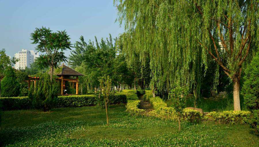 四川職業(yè)技術學院