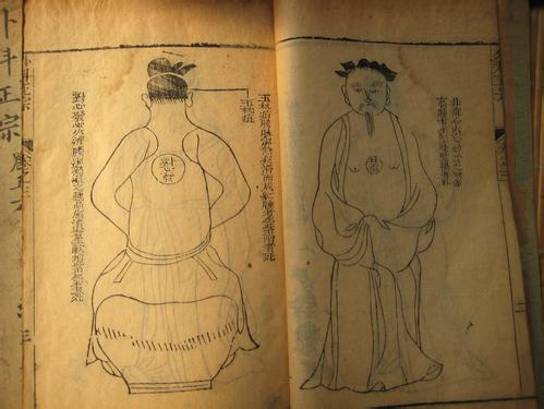 藏醫(yī)學(xué)