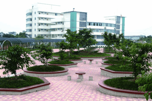 四川師范大學(xué)幼師學(xué)院