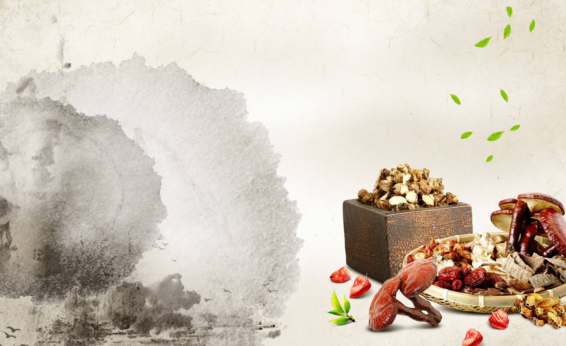 衛(wèi)校專業(yè)